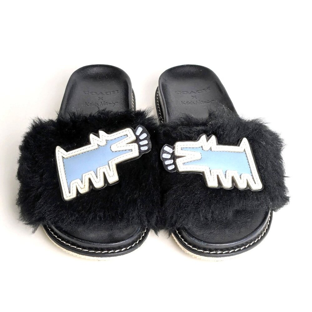 Coach x Keith Haring Slides size : 6